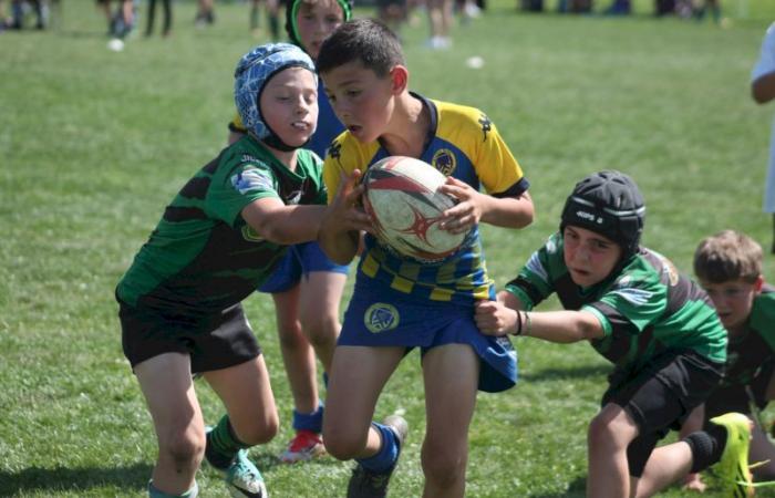 U8, U10 et U12, RC Montceau Grande Winner -.