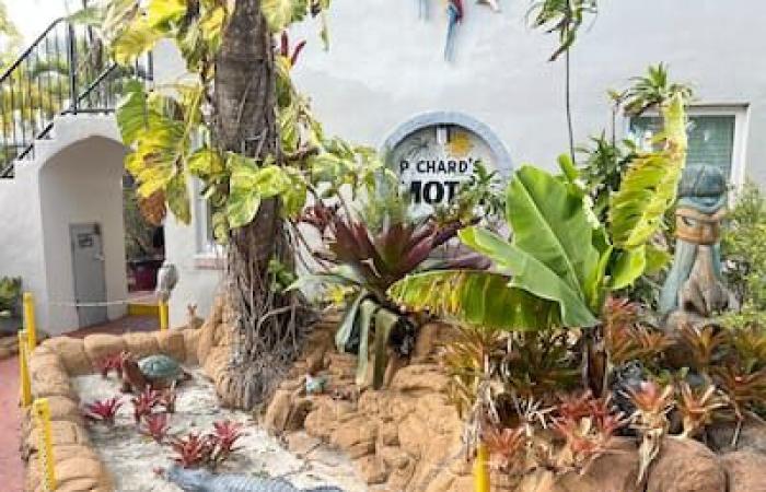 Moins de snowbirds en Floride en hiver 2025: “C’est triste et c’est ecœr”