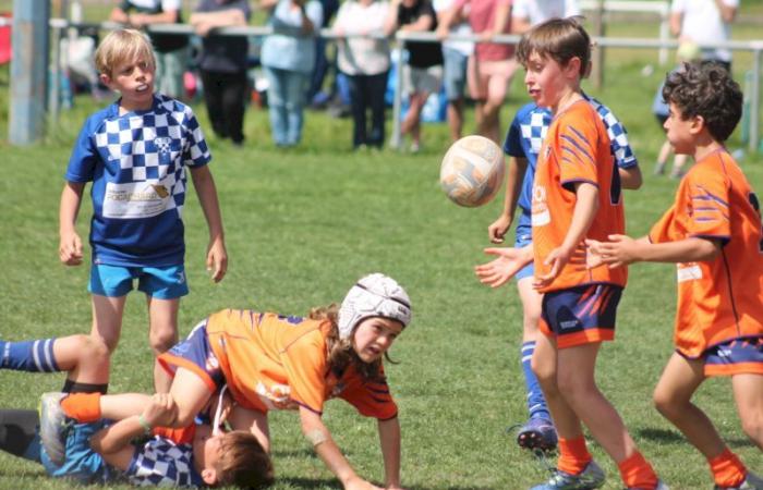 U8, U10 et U12, RC Montceau Grande Winner -.