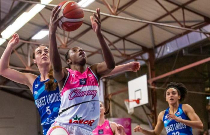 Charnay reste dans la pause à Basket Landes -.