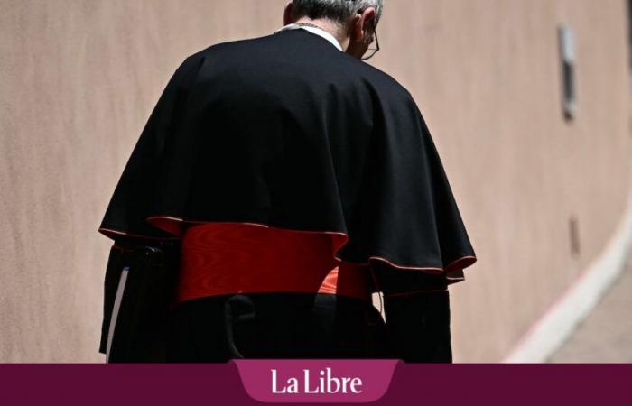 Voici les trois critères principaux que les cardinaux suivront pour désigner le pape idéal -.