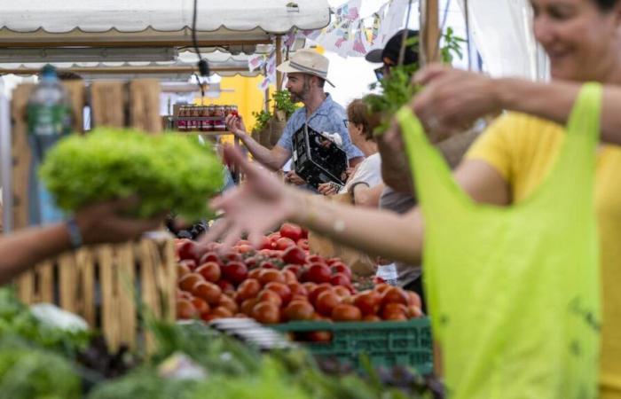 À Genève, un fonds alimentaire et United verront bientôt la journée -.