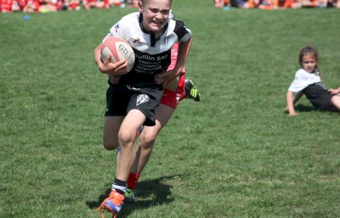 U8, U10 et U12, RC Montceau Grande Winner -.
