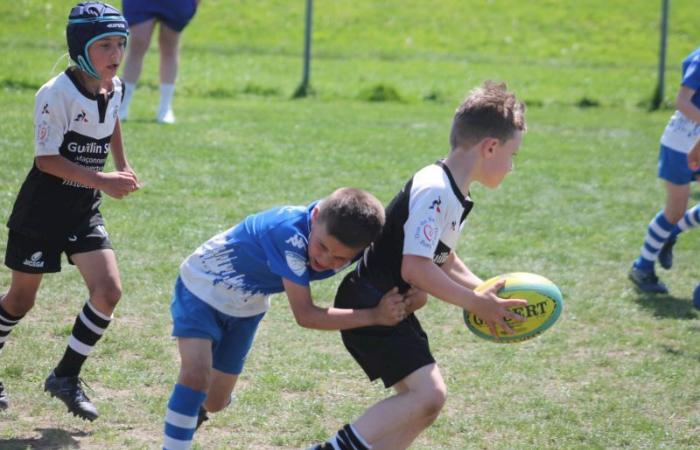 U8, U10 et U12, RC Montceau Grande Winner -.