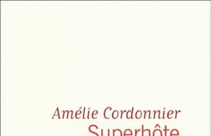 Voici le sujet controversé que la romancière Amélie Cordonnier aborde dans «Superhôte» -.