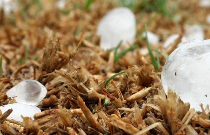 Tempêtes fauchées: qui soutient les dommages matériels? : Nouvelles – .