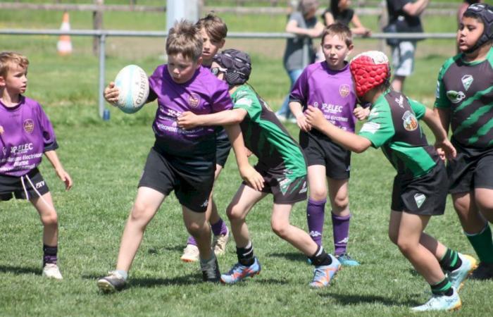 U8, U10 et U12, RC Montceau Grande Winner -.