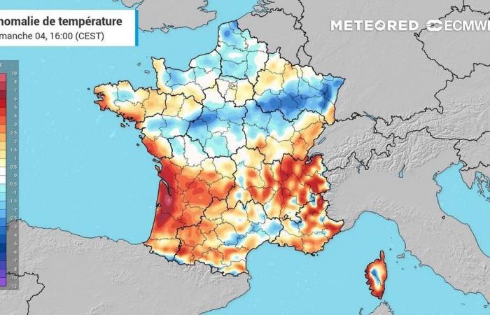 Devrions-nous vraiment craindre les gelées? -.