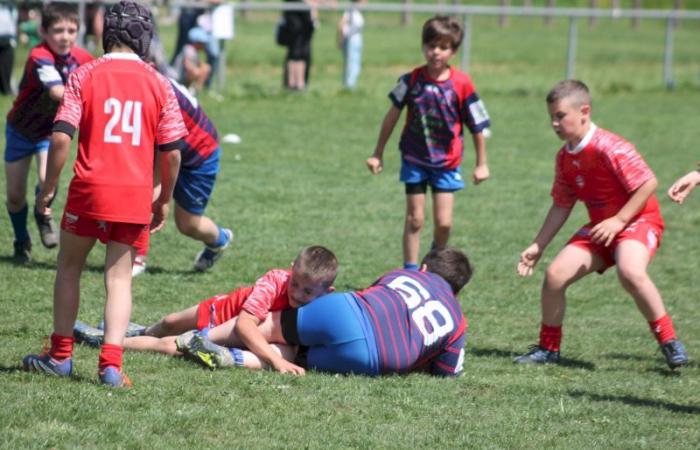 U8, U10 et U12, RC Montceau Grande Winner -.