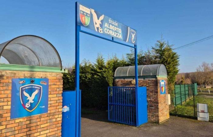 Le Meaux Football Club veut développer sa section féminine, en utilisant une compétition nationale -.