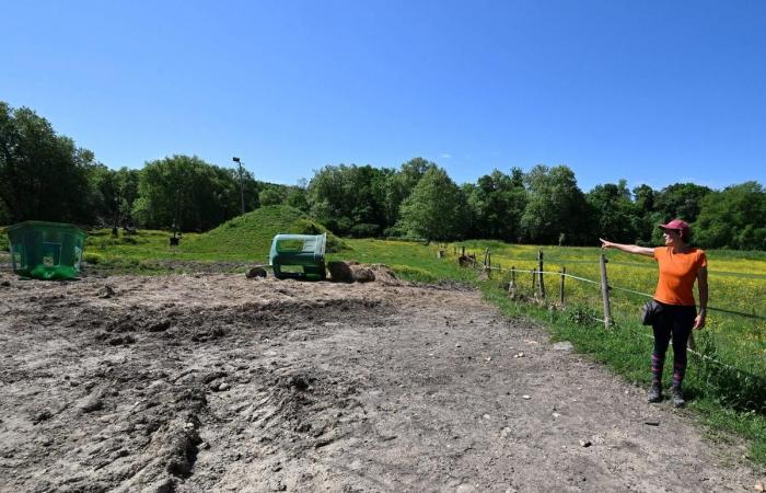 «J’ai tout perdu», deux semaines après les inondations, le temps est pour l’évaluation des dégâts autour de l’île -.