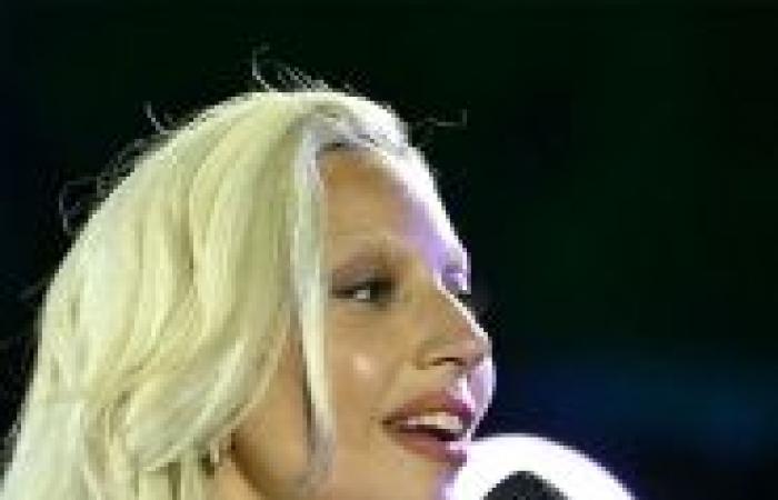 Découvrez les images de ce concert gargantuesque -.