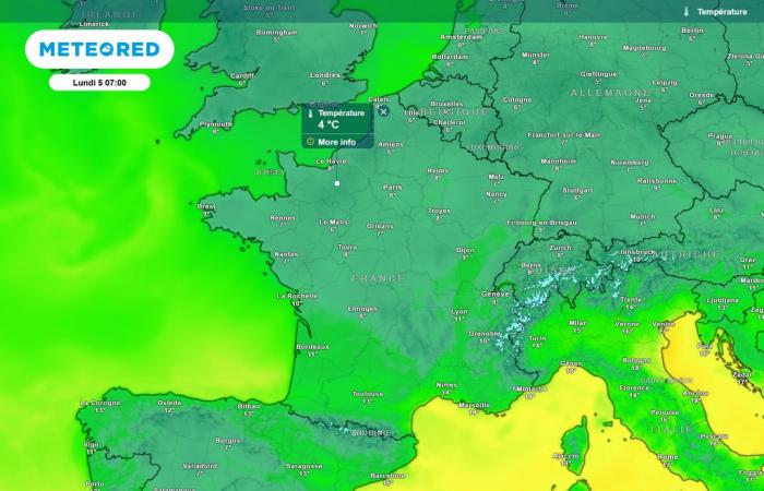 Devrions-nous vraiment craindre les gelées? -.
