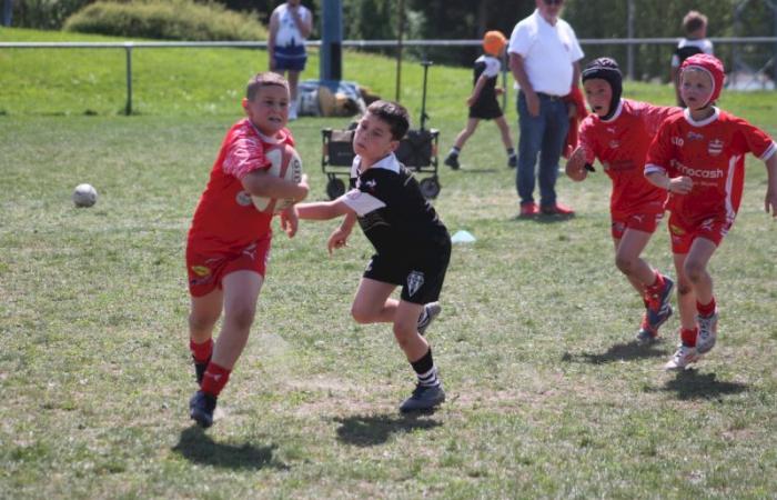 U8, U10 et U12, RC Montceau Grande Winner -.