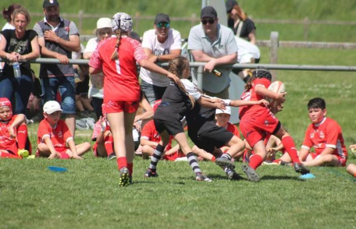 U8, U10 et U12, RC Montceau Grande Winner -.