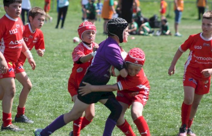 U8, U10 et U12, RC Montceau Grande Winner -.