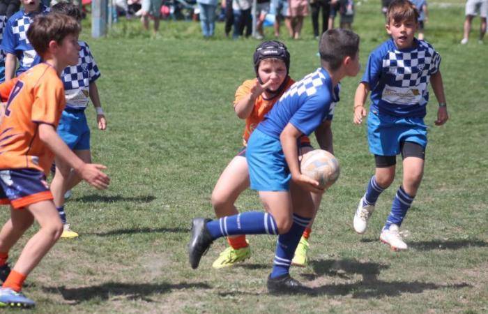 U8, U10 et U12, RC Montceau Grande Winner -.