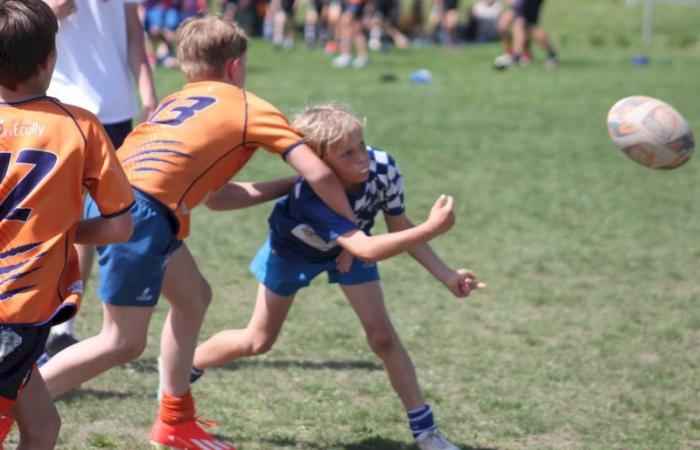 U8, U10 et U12, RC Montceau Grande Winner -.