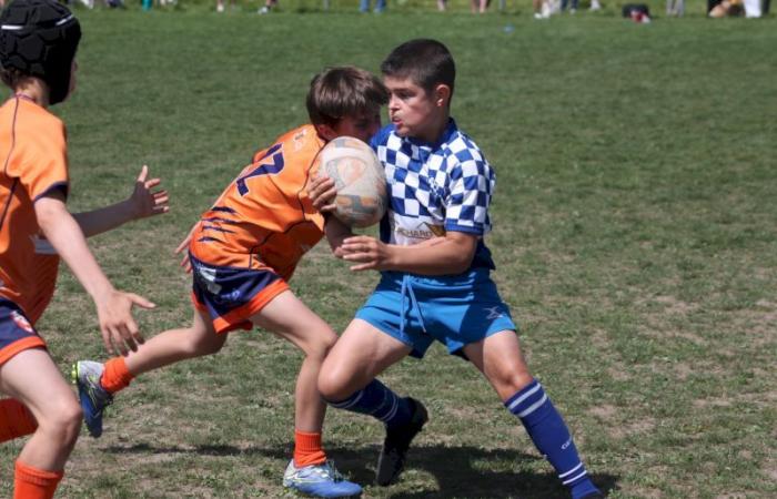 U8, U10 et U12, RC Montceau Grande Winner -.