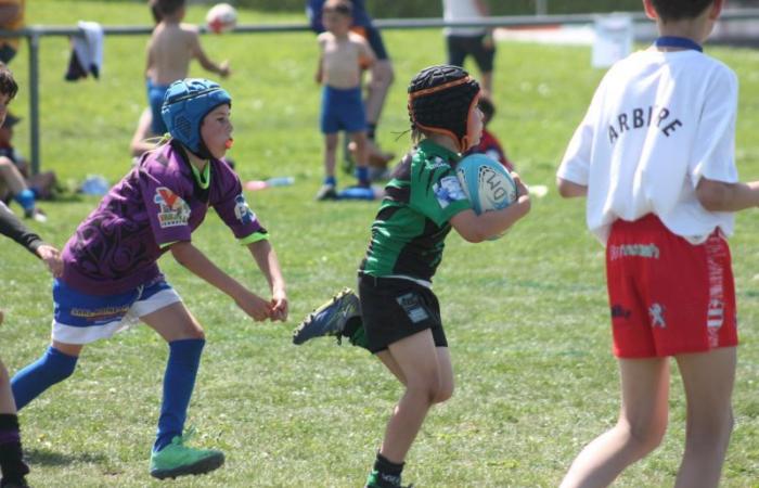 U8, U10 et U12, RC Montceau Grande Winner -.