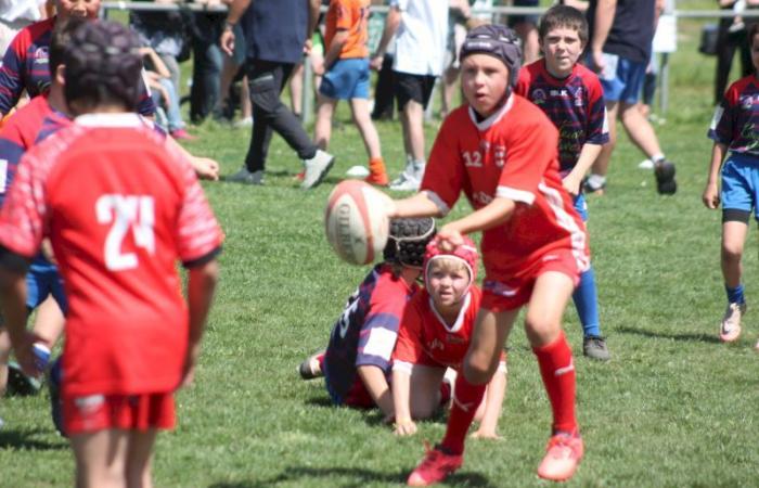 U8, U10 et U12, RC Montceau Grande Winner -.
