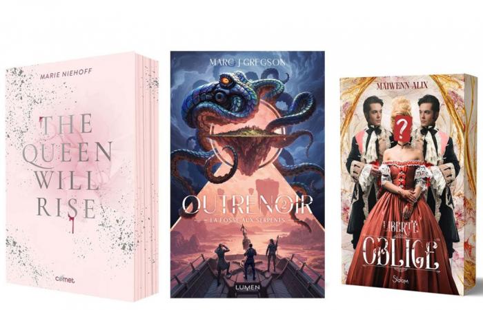 Lire des idées avec ces 3 livres -.