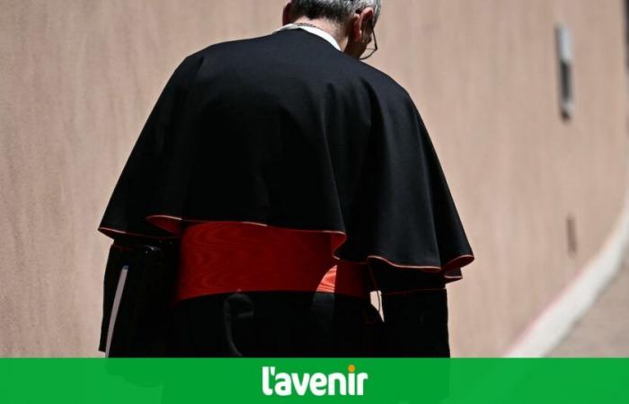 Ces trois critères principaux que les cardinaux suivront pour désigner le pape idéal -.
