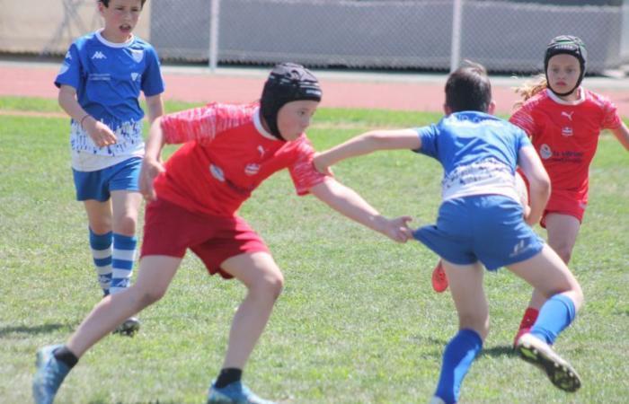 U8, U10 et U12, RC Montceau Grande Winner -.