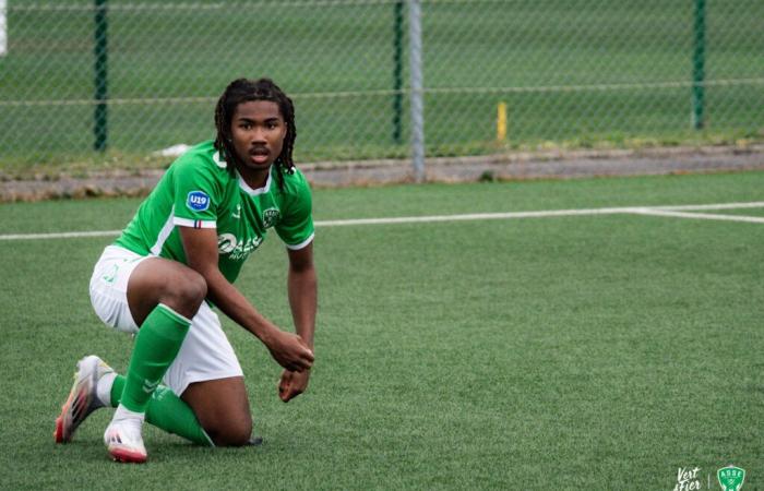Les verts prennent les devants -.