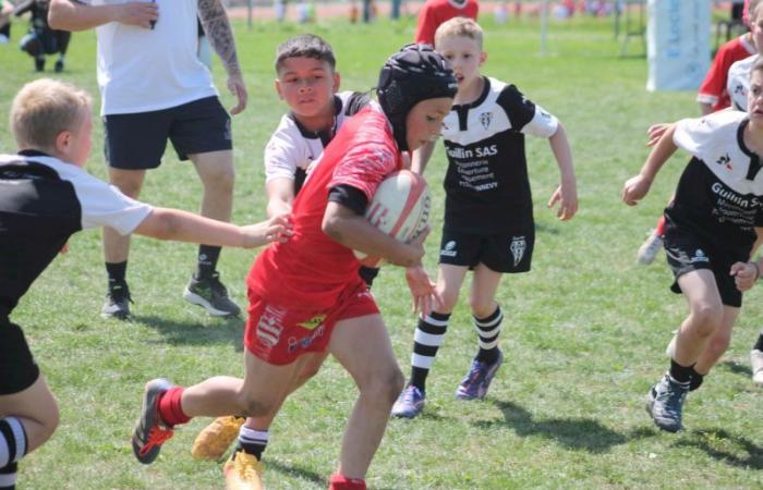 U8, U10 et U12, RC Montceau Grande Winner -.