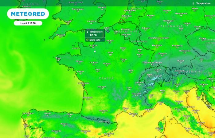 Devrions-nous vraiment craindre les gelées? -.