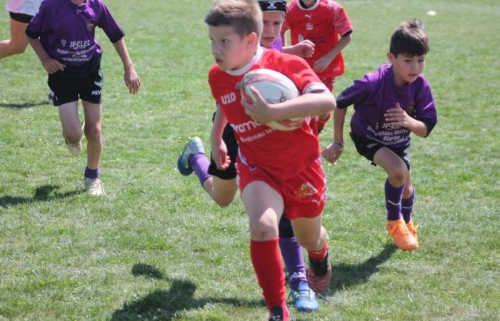 U8, U10 et U12, RC Montceau Grande Winner -.