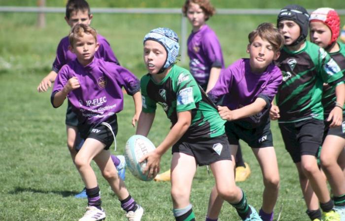 U8, U10 et U12, RC Montceau Grande Winner -.
