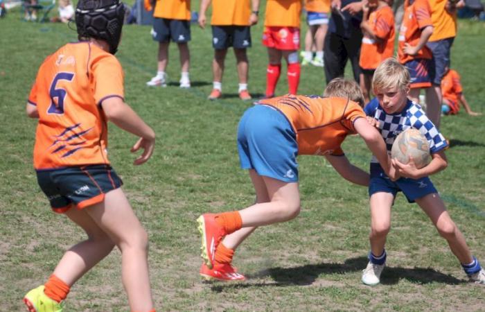 U8, U10 et U12, RC Montceau Grande Winner -.