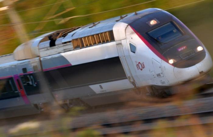 Malgré les appels à grève, le SNCF fournit un trafic «normal» sur TGV du lundi 5 au jeudi 8 mai.