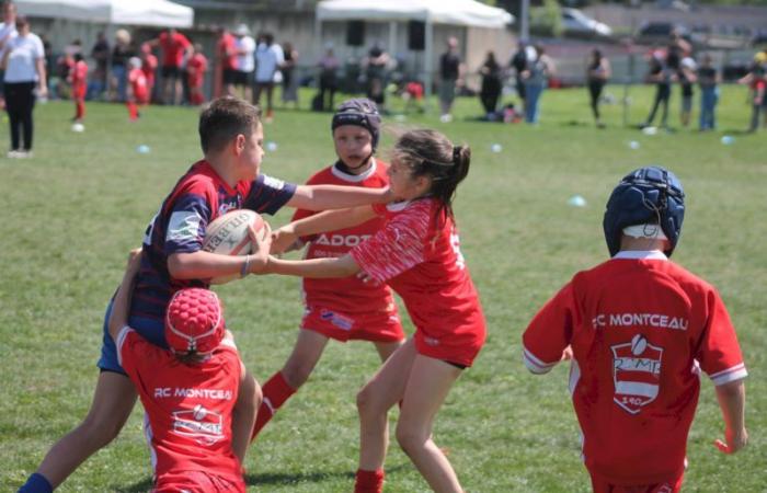 U8, U10 et U12, RC Montceau Grande Winner -.
