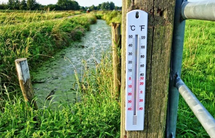 La chaleur arrive au Québec, mais pas là où vous pensez -.
