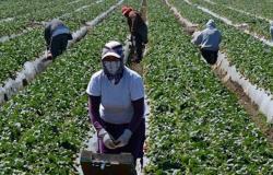 Une union saisonnière marocaine à Huelva est née -.