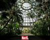 Zoomez sur trois autres magnifiques jardins botaniques -.