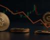 Que révèle la chute de Coindesk 20? – France – .