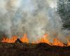 71 pompiers se sont mobilisés pour désactiver le premier incendie de la forêt de la saison dans l’Oise -.
