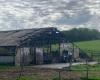 «Nous avons pu sauver tout le monde», un incendie détruit presque tout le bâtiment agricole de 1200 m2 -.