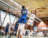 Regrets sur la saison pour le panier Brest Mhétropole, très combatif contre Betton -.