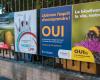 La Cour fédérale refuse le vote des enfants et des abeilles -.