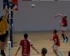 La Chapelle-Saint-Aubin dans toute relaxation. Sport -.