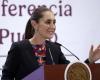 Le président mexicain affirme qu’elle a rejeté l’offre de Donald Trump d’envoyer l’armée américaine au Mexique -.