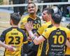 [Volley] Match Ball pour Strassen -.