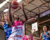 Charnay reste dans la pause à Basket Landes -.