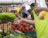 À Genève, un fonds alimentaire et United verront bientôt la journée -.