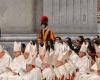 Fin des 9 jours de deuil au Vatican pour la mort du pape -.